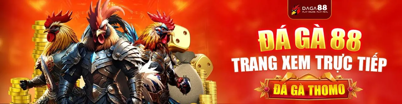Đá Gà Trực Tuyến Hấp Dẫn tại ok6368 nhà cái