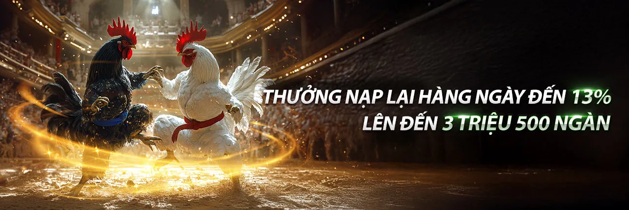 Sân đá gà trực tuyến kịch tính tại ok6368 nhà cái